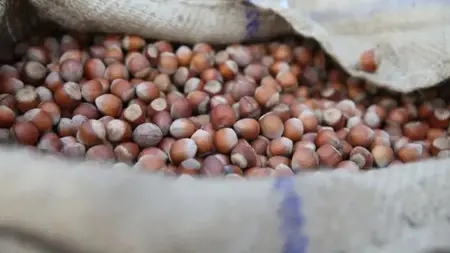 تركيا تطارد أسواقًا جديدة "للترويج للبندق" في 15 دولة