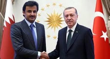 الرئيس التركي وأمير قطر يبحثان سبل تعزيز العلاقات الاستراتيجية المشتركة