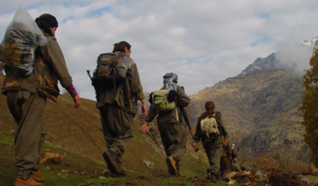 استسلام 4 إرهابيين من PKK لقوات الأمن التركية