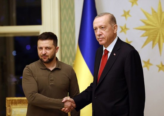 أردوغان يلتقي بنظيره الأوكراني في قصر وحيد الدين باسطنبول