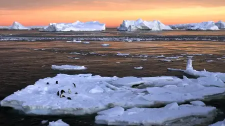 انخفاض الجليد في القارة القطبية الجنوبية إلى مستويات قياسية