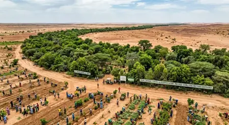 السور الأخضر العظيم: حزام بيئي بـ8000 كم لإنقاذ إفريقيا