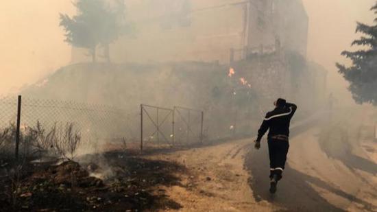حرائق الغابات في الجزائر: ارتفاع حصيلة القتلى42 شخصا بينهم 25 جنديا