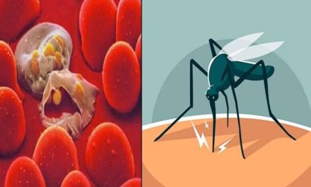 الملاريا تجتاح باكستان 