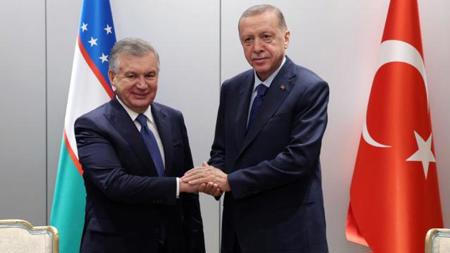 أردوغان يلتقي بنظيره الأوزبكي في المجر