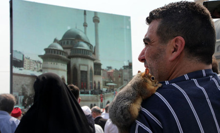 سنجاب يلفت الانتباه خلال افتتاح مسجد تقسيم بإسطنبول
