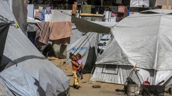 الأمم المتحدة: 83% من مناطق نزوح غزة تعاني اجتياح القوارض والطفيليات وسط كارثة صحية