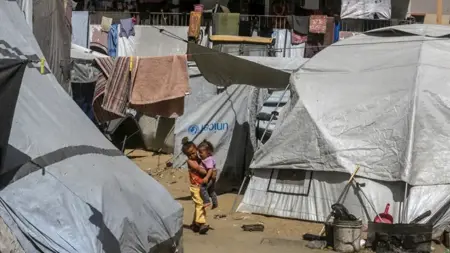 الأمم المتحدة: 83% من مناطق نزوح غزة تعاني اجتياح القوارض والطفيليات وسط كارثة صحية