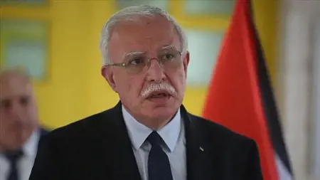 فلسطين تدعو كافة الدول إلى الالتزام بقرار محكمة العدل الدولية بشأن الإبادة الجماعية في غزة فلسطين تدعو كافة الدول إلى الالتزام بقرار محكمة العدل الدولية بشأن الإبادة الجماعية في غزة