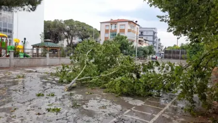 الأرصاد التركية تطلق التحذير الأصفر والبرتقالي لـ41 مدينة