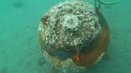 تحييد لغم بحري في تركيا تحييد لغم بحري في تركيا