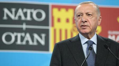 صحفي أمريكي: أردوغان أجاب على جميع الأسئلة في قمة الناتو على عكس القادة الآخرين