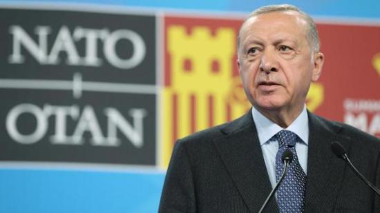 صحفي أمريكي: أردوغان أجاب على جميع الأسئلة في قمة الناتو على عكس القادة الآخرين