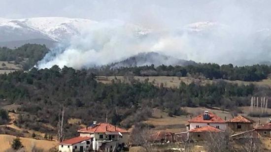 اندلاع حريق هائل في منطقة الغابات بمدينة أوشاك