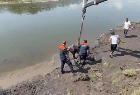 إنقاذ حصانٍ علق في وحل نهرٍ بأردهان بعد جهودٍ مضنية