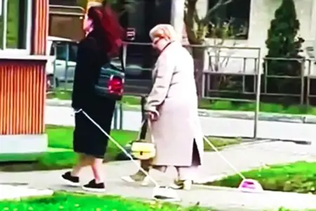 ظاهرة مثيرة للدهشة .. سيدتين تتجولان بالمكواة بدلاً القطط والكلاب