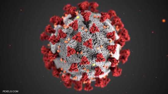 أخيراً..دراسة تكشف سر التحور السريع في فيروس كورونا