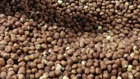 صادرات البندق التركي تحقق ارتفاعاً قياسياً في 5 أشهر