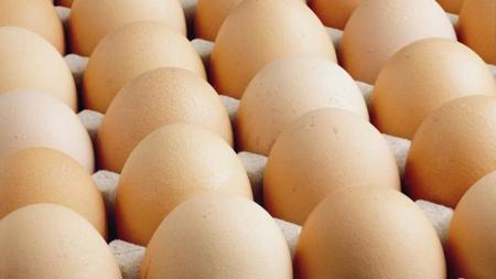 ارتفاع أسعار البيض إلى مستويات قياسية في الولايات المتحدة الأمريكية