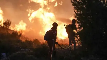 وسط دعوات إلى رفع مستوى الحيطة..تحذير من حرائق الغابات في تركيا