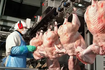 5 علامات تحذيرية في المطاعم لا يجب تجاهلها في تركيا