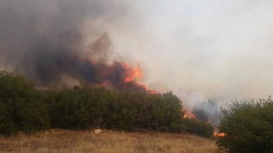 فرق الإنقاذ تكافح لاحتواء حريق اندلع في مانيسا