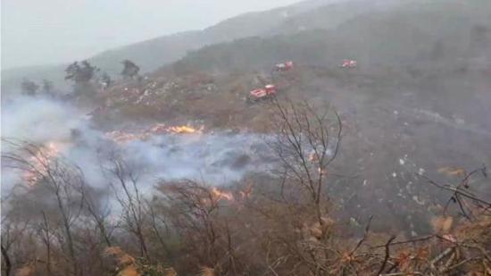 اندلاع حريق في غابات ولاية هاتاي