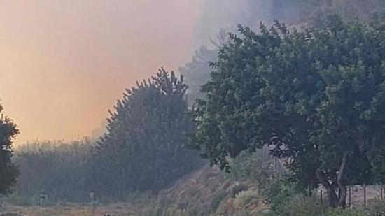 تواصل جهود اخماد حريق في أحد غابات ولاية أيدين 