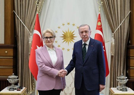 كواليس لقاء أردوغان برئيسة حزب الجيد السابقة ميرال أكشنار