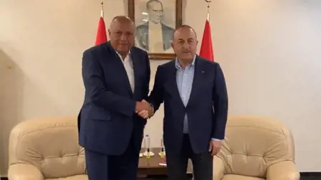 وزير الخارجية التركي يلتقي نظيره المصري في أضنة