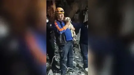 إنقاذ كلب على قيد الحياة في هاتاي بعد مرور 25 يومًا على الزلزال المدمر