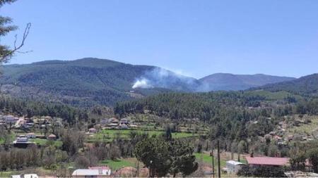 اندلاع حريق في غابات بولاية موغلا جنوب غرب تركيا