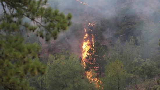 تركيا تواجه حرائق الغابات التي اندلعت أمس في 4 محافظات