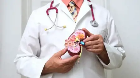توقعات بزيادة عمليات زرع الكلى في تركيا هذا العام