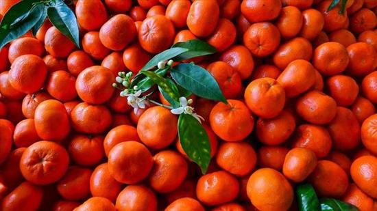 تركيا تكسر رقمًا قياسيًا بصادرات المندلينا بـ615 مليون$