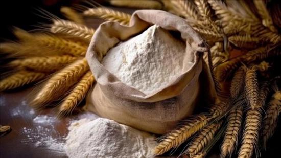 تراجع واردات العراق من الدقيق يهز تجارة الحبوب العالمية ويضغط على تركيا تراجع واردات العراق من الدقيق يهز تجارة الحبوب العالمية ويضغط على تركيا