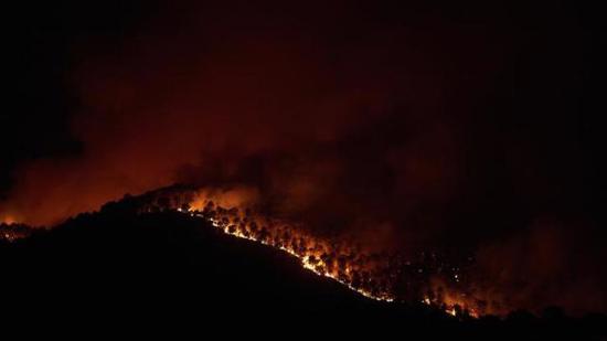 شركة هولندية تعلن مسؤوليتها عن حرائق الغابات في إسبانيا