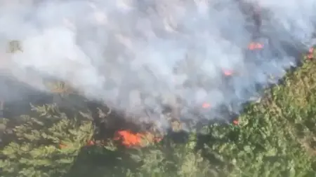 حرائق غابات في منطقتين بأنطاليا وجهود مكثفة للسيطرة عليها