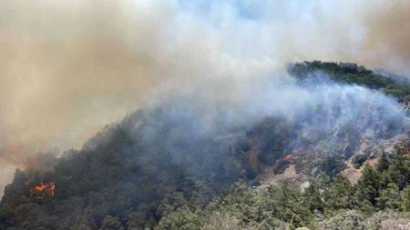 الأرصاد التركية تحذر 7 مدن من "حرائق الغابات"