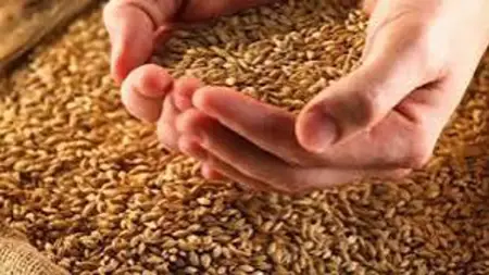 وزارة الأوقاف السورية تحدد زكاة الفطر