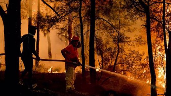 حرائق غابات تركيا.. إخماد 152 حريقا من أصل 163