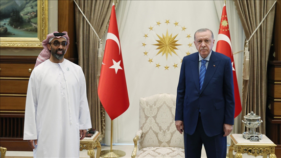 الرئيس أردوغان يستقبل مستشار الأمن القومي الإماراتي