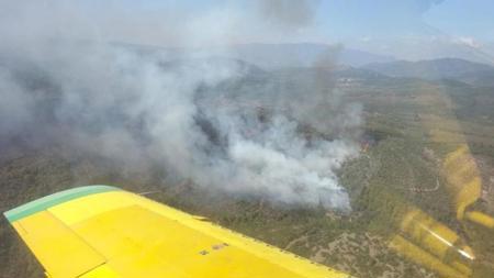 عاجل:اندلاع حريق كبير في منطقة الغابات في إزمير