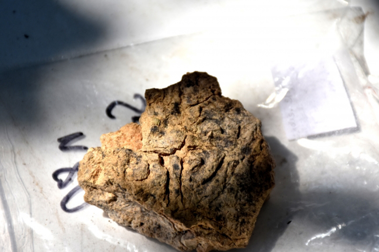 تم العثور على 250 ختمًا عمرها 5621 عامًا في أرسلانتيب