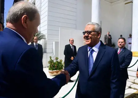 أول مسؤول مصري يصل سوريا منذ عام 2011