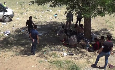ضبط 70 مهاجراً غير شرعي على جانب الطريق في بيتليس