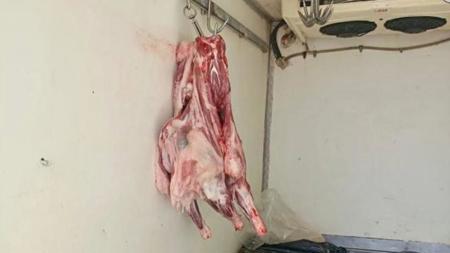 ضبط كميات كبيرة من اللحوم المنقولة في ظروف غير صحية في هاتاي