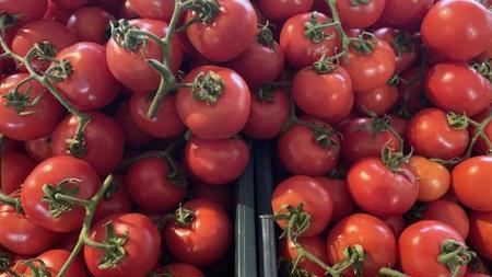 تصل إلى 54 دولة.. ارتفاع صادرات الطماطم من تركيا في عام 2022
