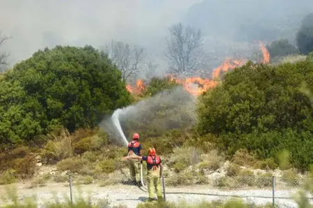 تركيا تسيطر على 761 حريق غابات في 10 أيام 