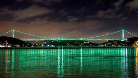 جسور اسطنبول تتحول إلى اللون الأخضر بسبب "مرض الجنف"